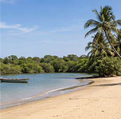 Coastal nature and wetlands near Kotu